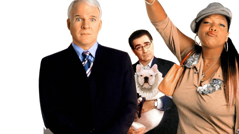 Bringing Down the House still 1