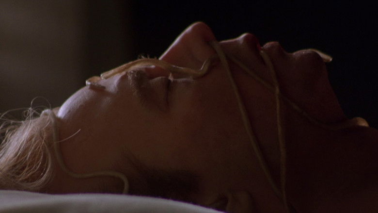 Body Snatchers still