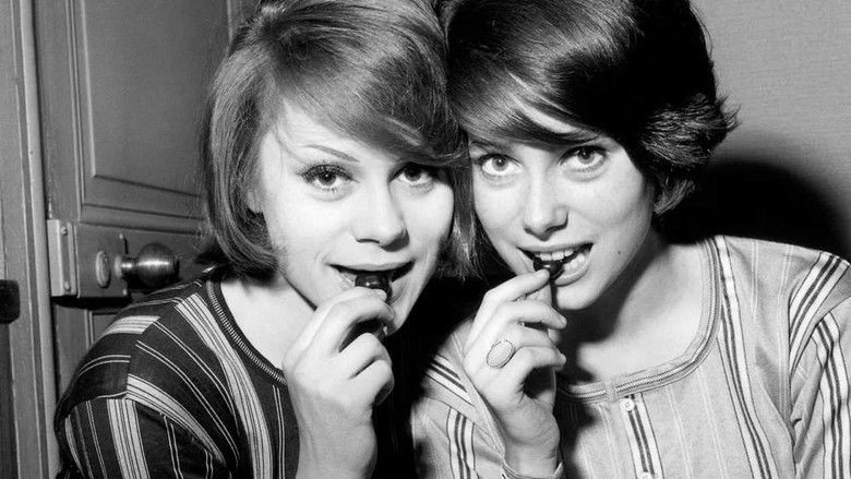 The Door Slams still