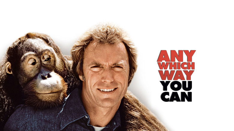 Any Which Way You Can still 2