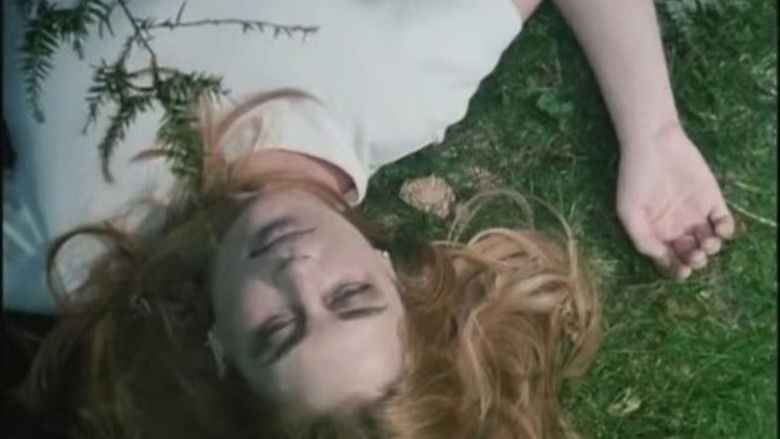 Strawberry Spring still 1