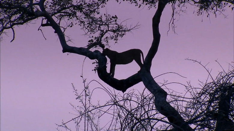 Predator's Playground still 1