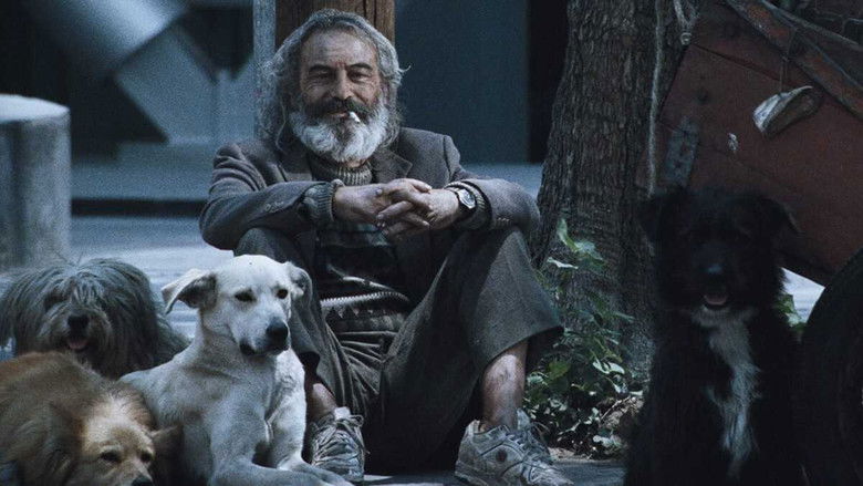 Amores Perros still 2