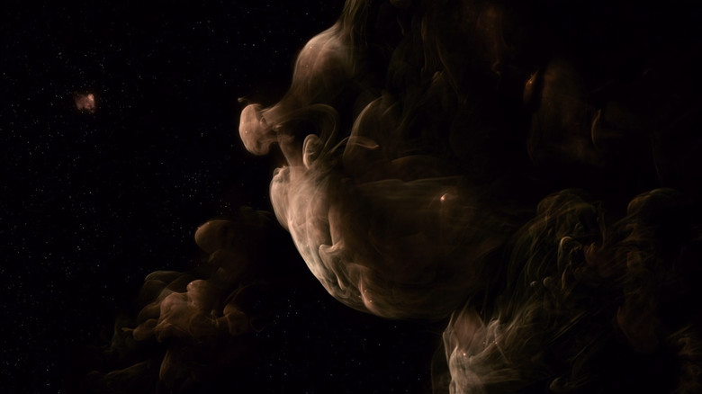 The Tree of Life still