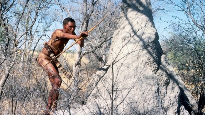 The Gods Must Be Crazy still