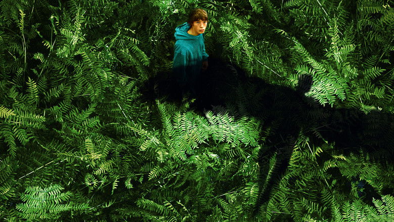 The Animal Kingdom still