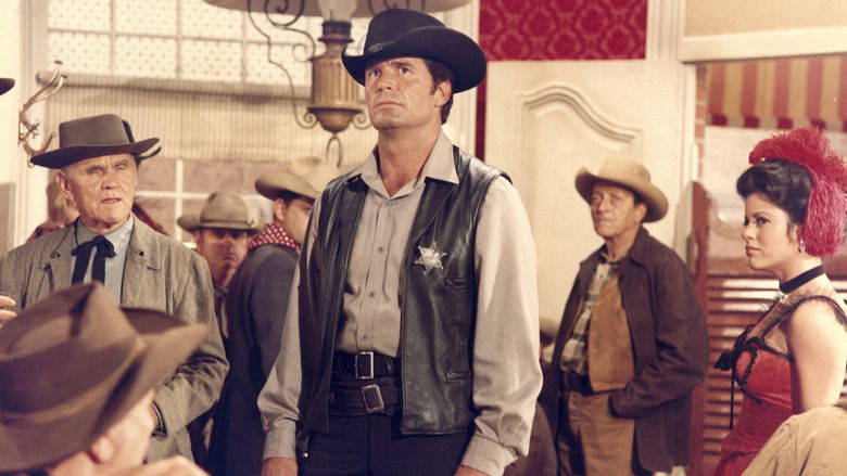 Support Your Local Sheriff! still