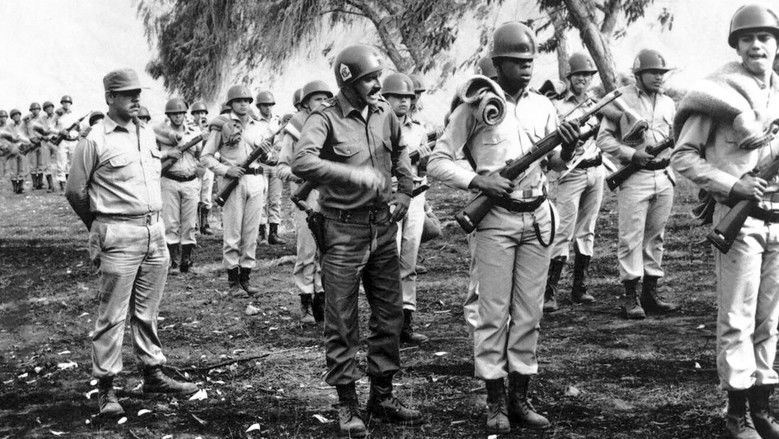 The City and the Dogs still 1