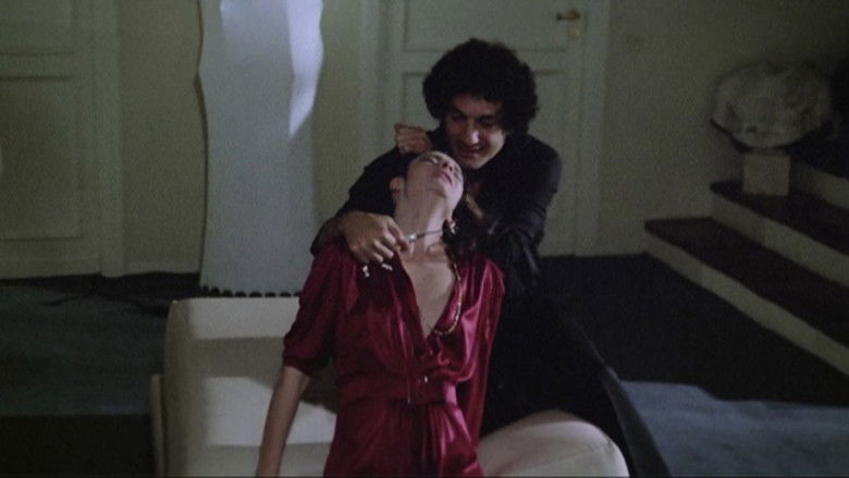 House on the Edge of the Park still