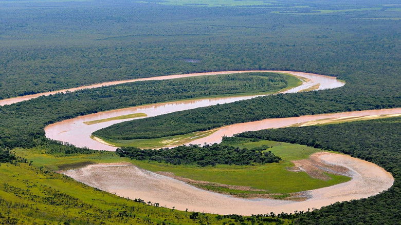 El Silencio del Impenetrable still 1