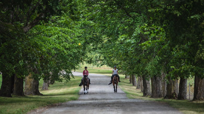 One Half of Me still