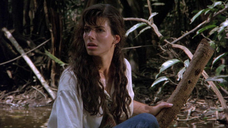 Fire on the Amazon still