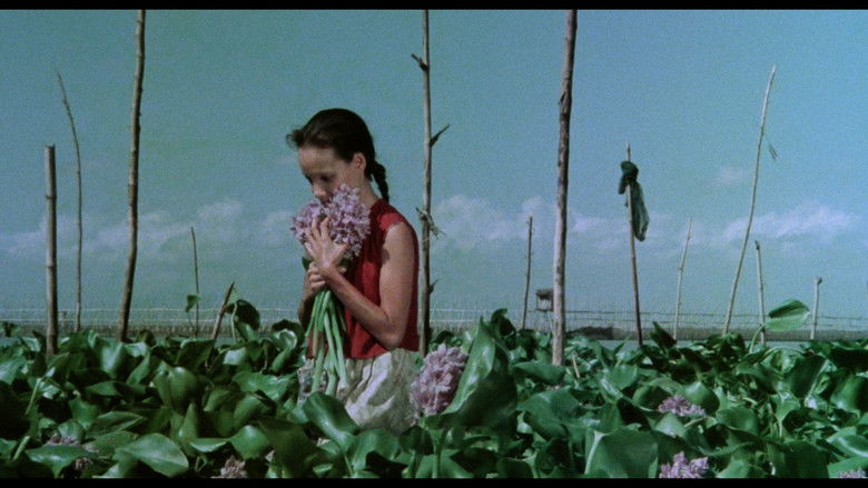 A Speck in the Water still 1