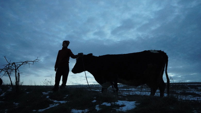 Animals in War still 2