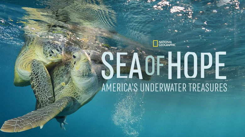 Sea of Hope: America's Underwater Treasures still 2