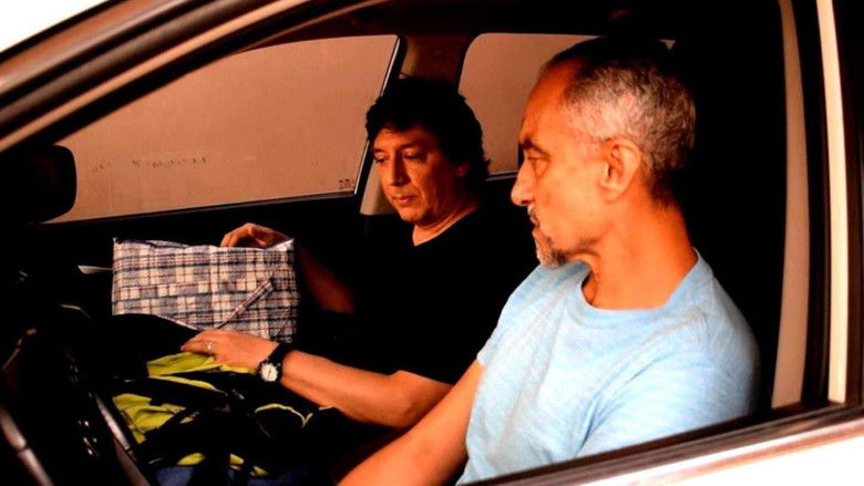 Cinereous Money still 2