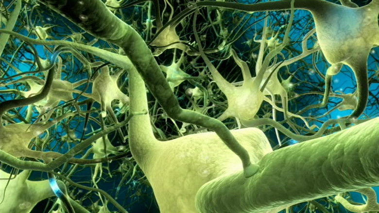 What the #$*! Do We (K)now!? still 3