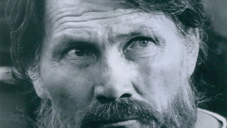 The Hatfields and the McCoys still 1