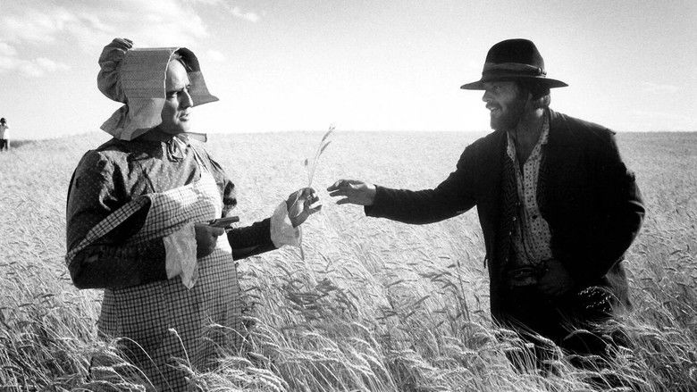 The Missouri Breaks still