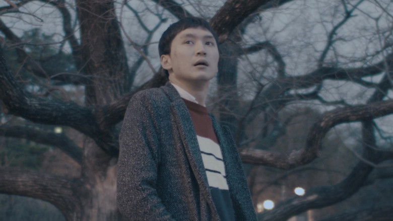 Midnight in Seoul still