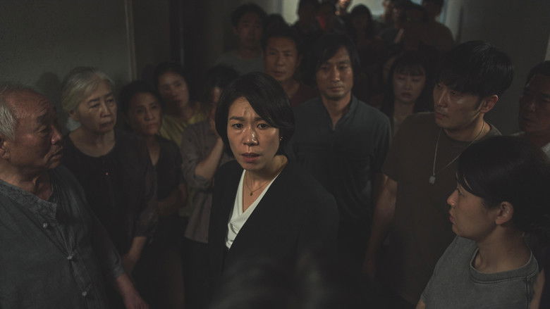 Wall to Wall still 3