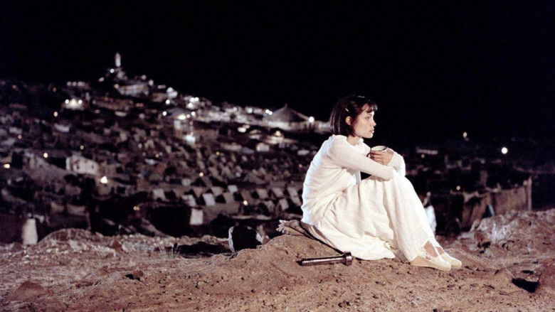 Beyond Borders still 4