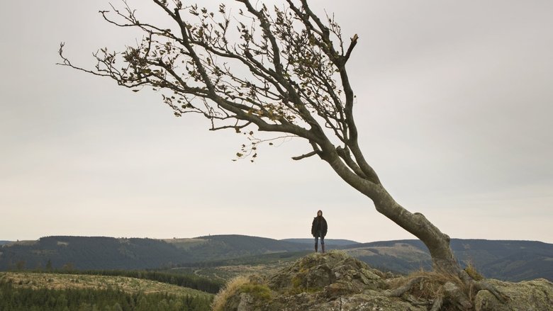 Nymphomaniac: Vol. II still 3