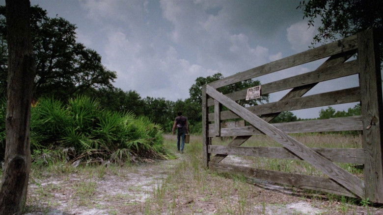 The Enchanted still 1