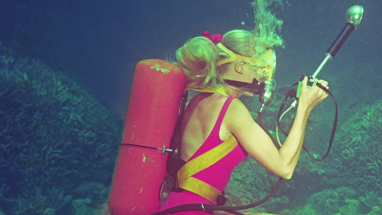 Playing with Sharks still