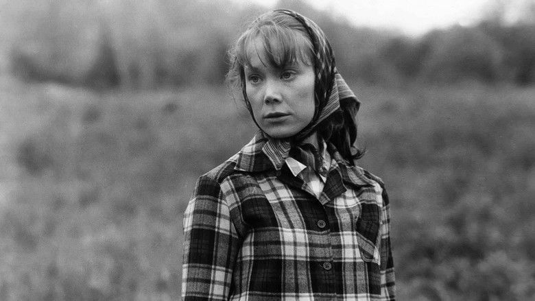 Coal Miner's Daughter still