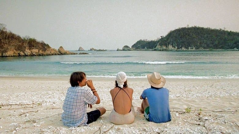 Y Tu Mamá También still 3