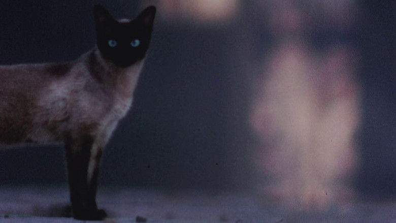 The Perils of Priscilla still