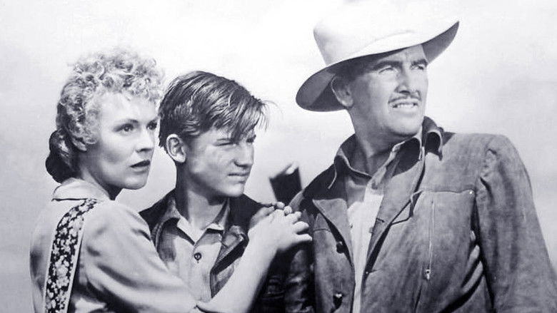 My Friend Flicka still 2