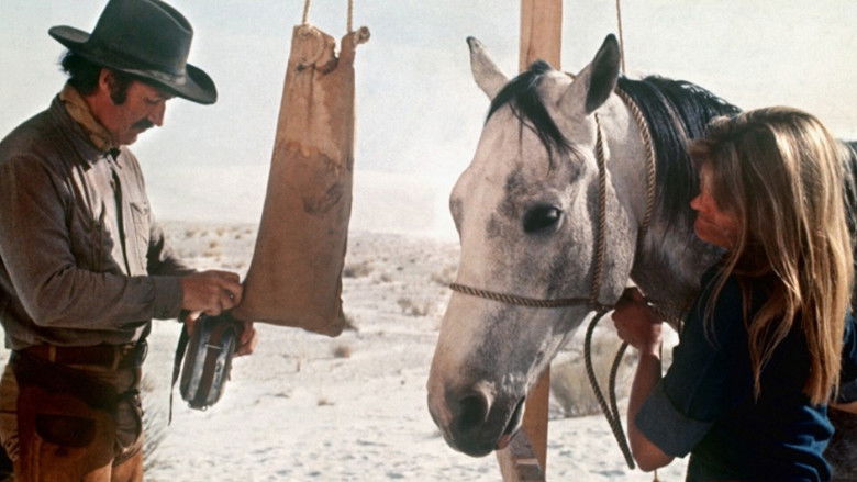 Bite the Bullet still