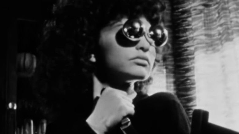 Meshes of the Afternoon still 3