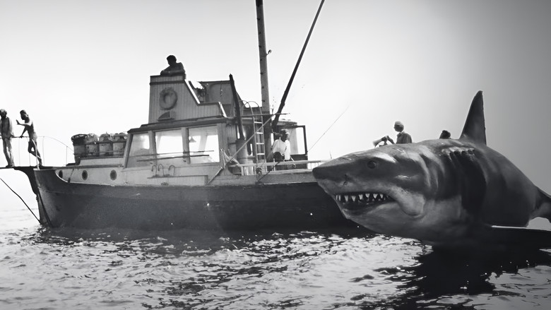 Jaws @ 50: The Definitive Inside Story still 2