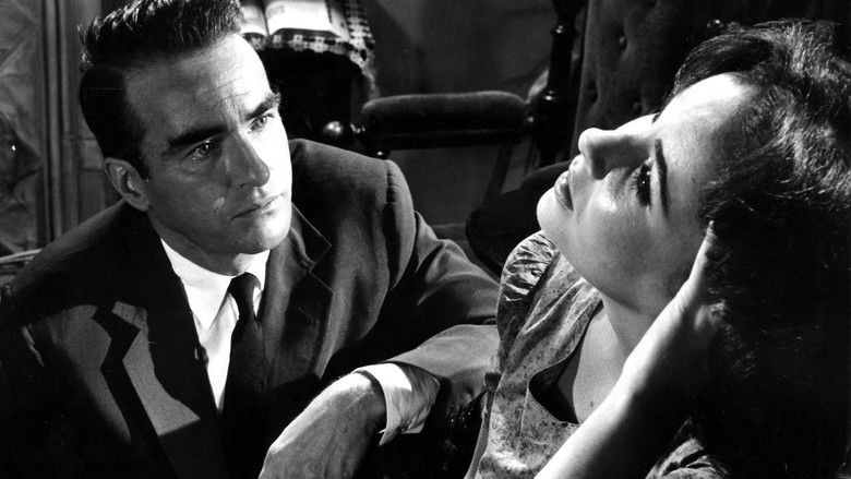 Suddenly, Last Summer still 2