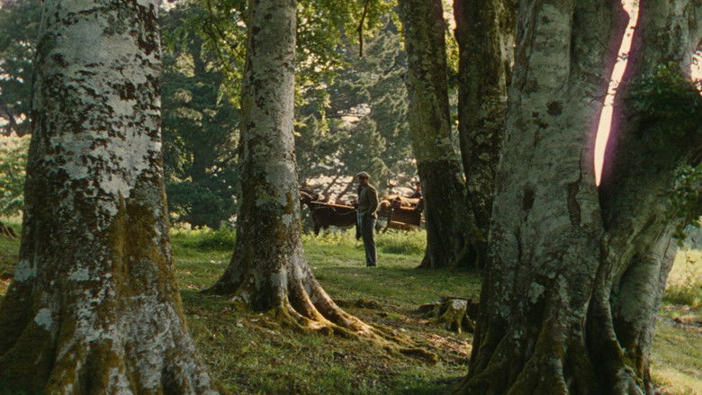 The Quiet Man still 4