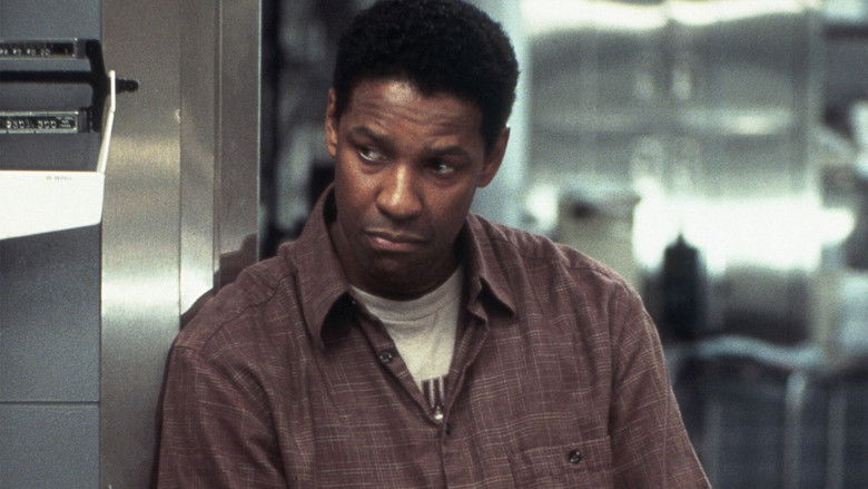 John Q still