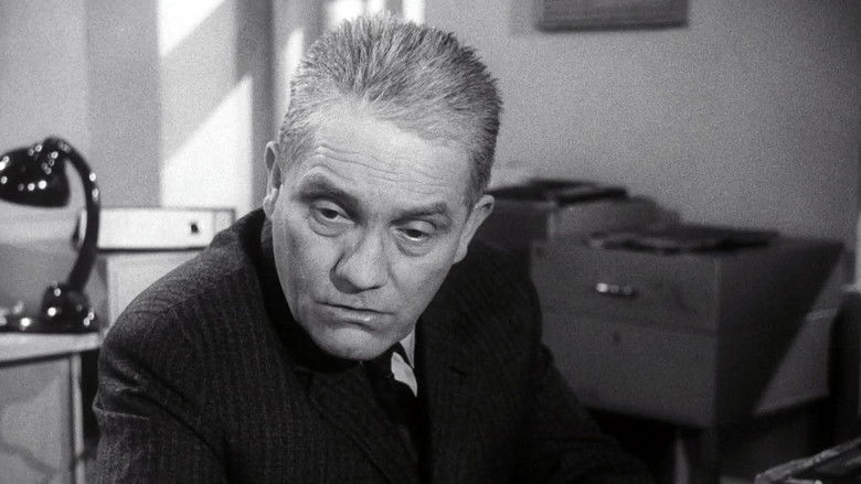 The Hero Is Afraid still