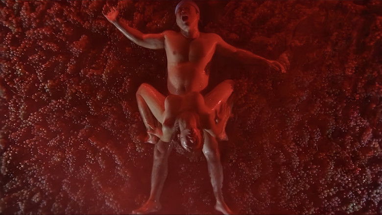 Orgasm: Mariko still 2