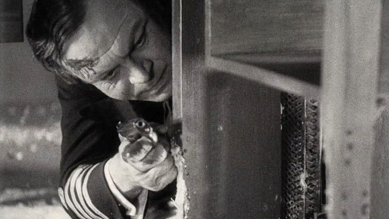 F.P.1 Doesn't Answer still 4