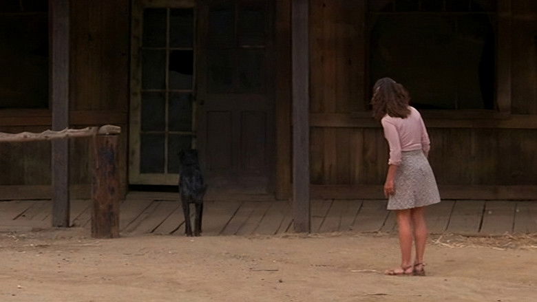 Don't Go Near the Park still