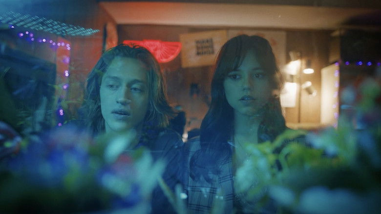 Winter Spring Summer or Fall still