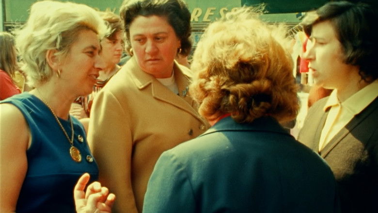 Des quetsches pour l'hiver still 1