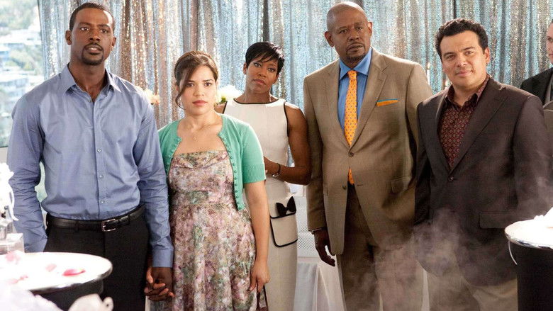 Our Family Wedding still 3