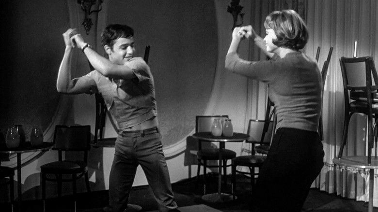 Who Killed Teddy Bear? still