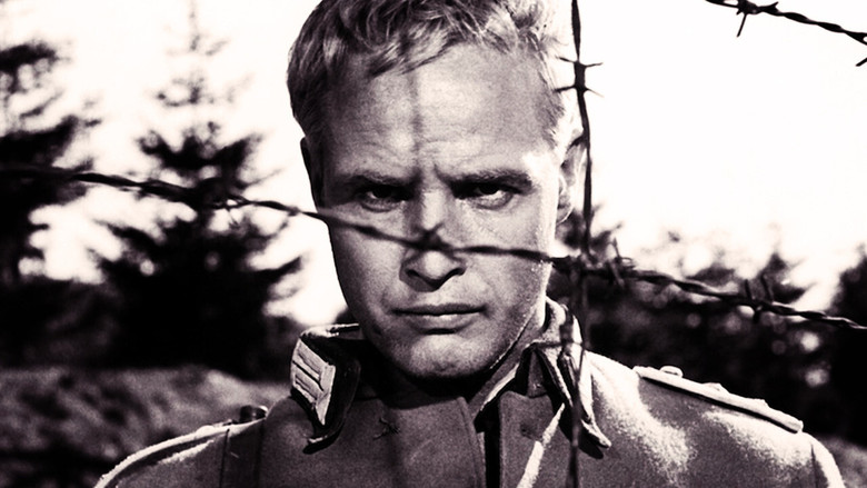 The Young Lions still