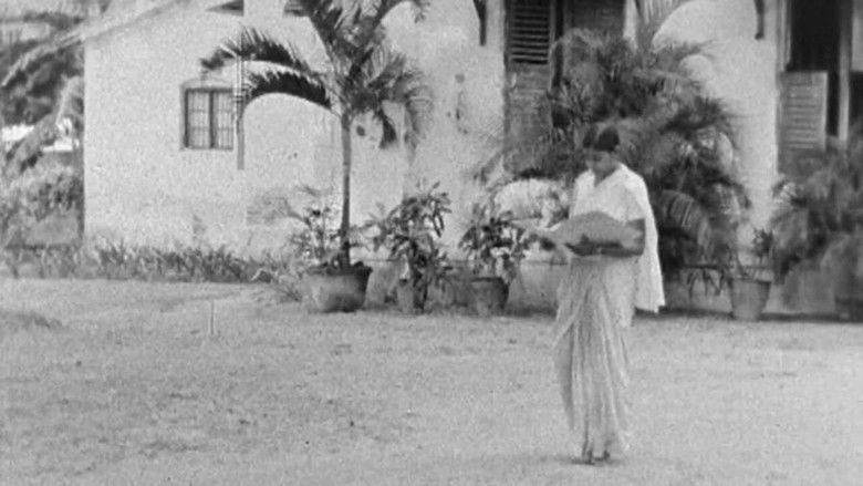 Day at St Christopher's College and School still 1