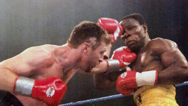 One Night in Millstreet still